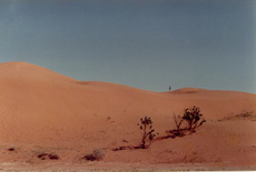Rote-Wüste-4.jpg